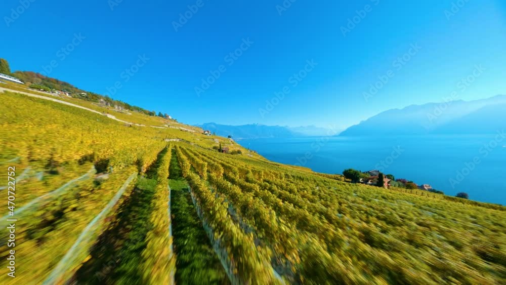 FPV Drone Fight Over Lavaux Vineyard Between Rivaz And Saint-Saphorin Villages On A Sunny Day. - aerial FPV Drone Fight Over Lavaux Vineyard Between Rivaz And Saint-Saphorin Villages On A Sunny Day. - aerial