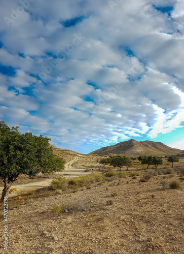 Dry Landscape in the Cabo de Gata N  jar Natural Park in southern Spain at the Mediterranean sea