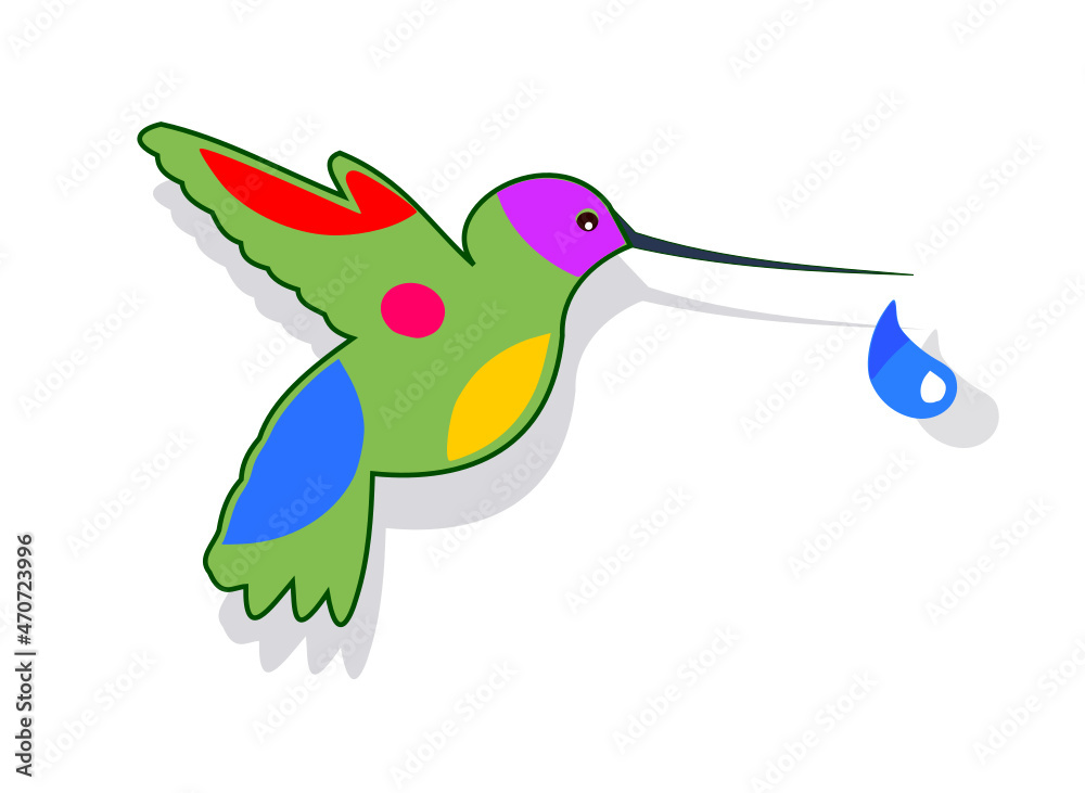 Fototapeta premium Le colibri