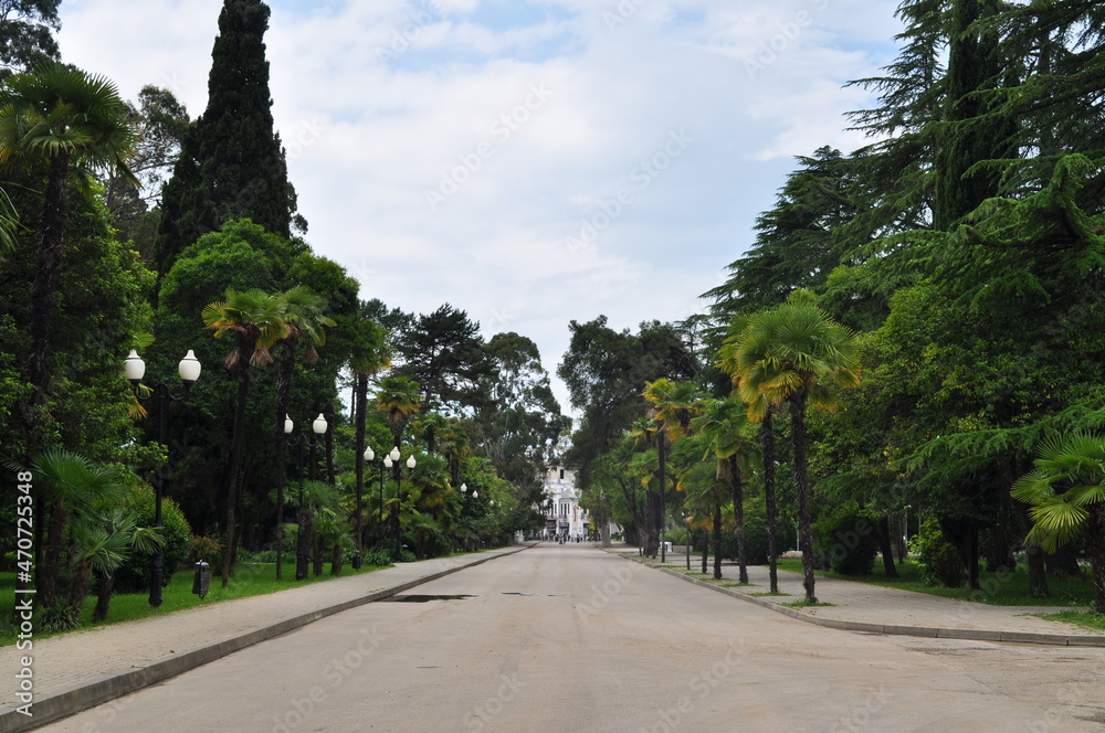 A street in Sukhumi, capital of Abkhazia. A street in Sukhumi, capital of Abkhazia.