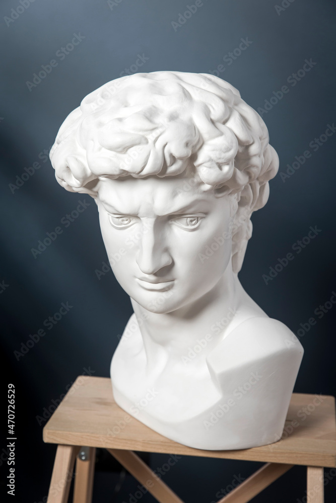 A plaster cast of David's head stand on a stool in a dark blue room A plaster cast of David's head stand on a stool in a dark blue room