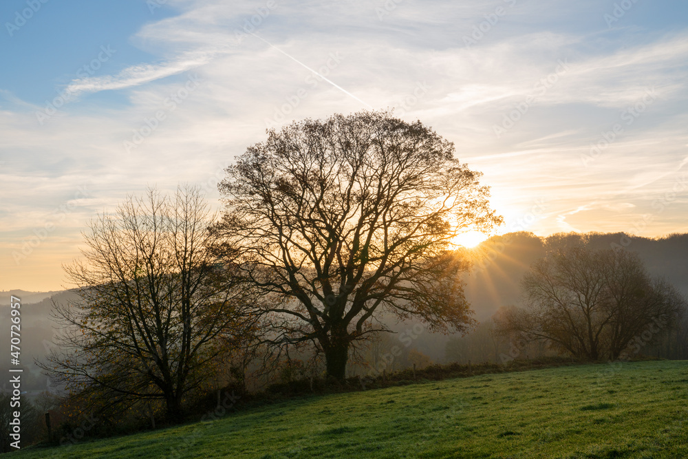 Fototapeta premium Bergisches Land, Odenthal, Germany