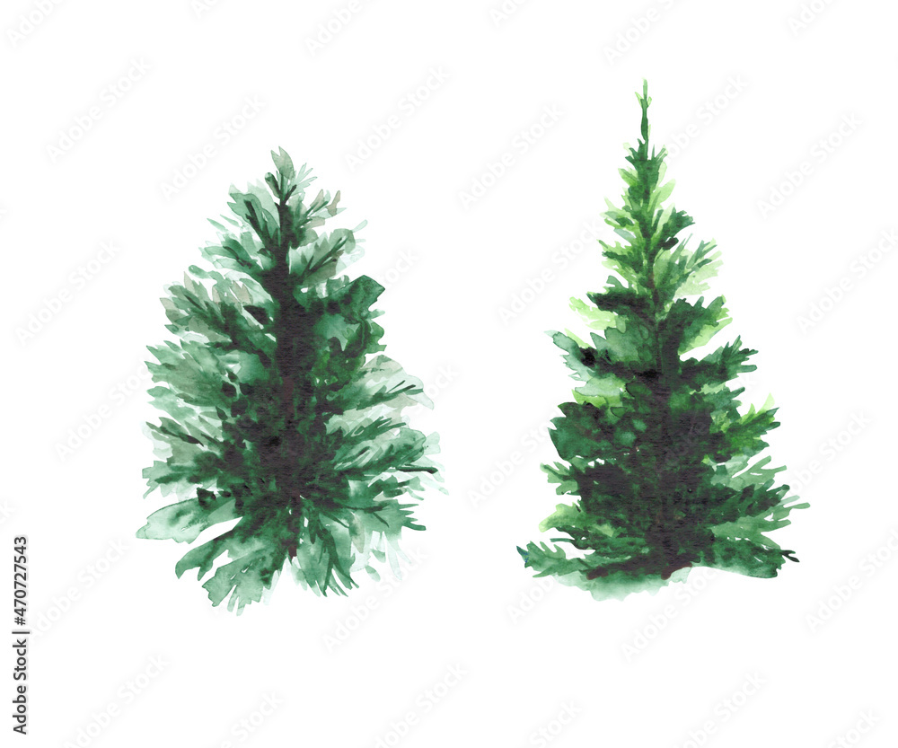 Collection of green Christmas trees isolated on a white background. Watercolor drawing of a Christmas tree for the design of greeting cards and greetings.