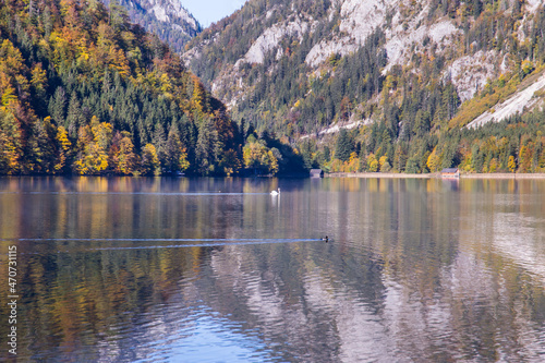 Idyllic mountain lake Leopoldsteinersee surrounded by mountains in Austria