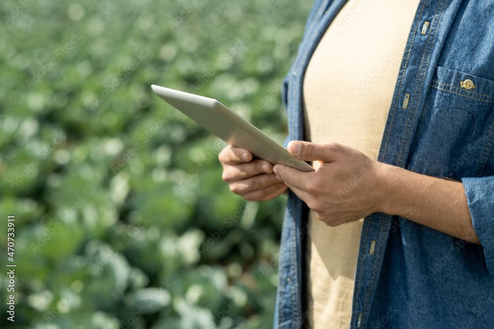 Close-up of unrecognizable male agricultural specialist in casual shirt using tablet while analyzing production of crops