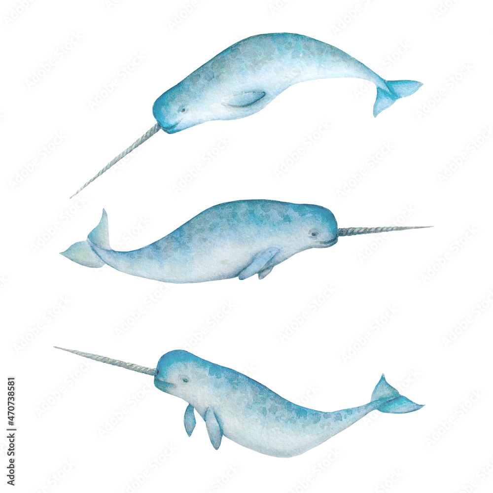 Obraz premium Set of watercolor narwhals isolated on white background