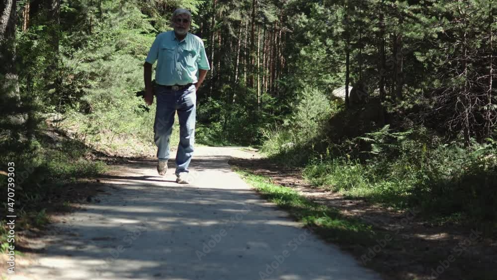 Senior active fit man walking on the forest pathway, country walk Senior active fit man walking on the forest pathway, country walk
