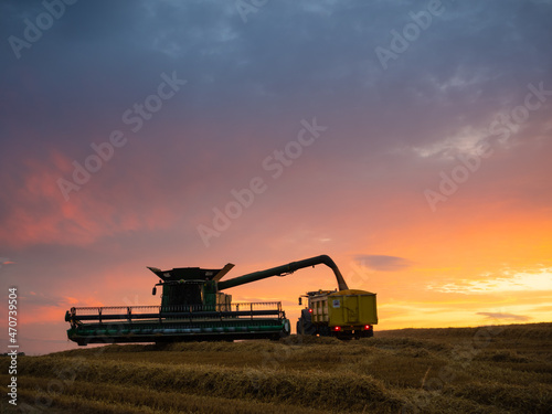A combine harvester, and waiting trailer, silhouetted against a sunset in the middle of a wheat field