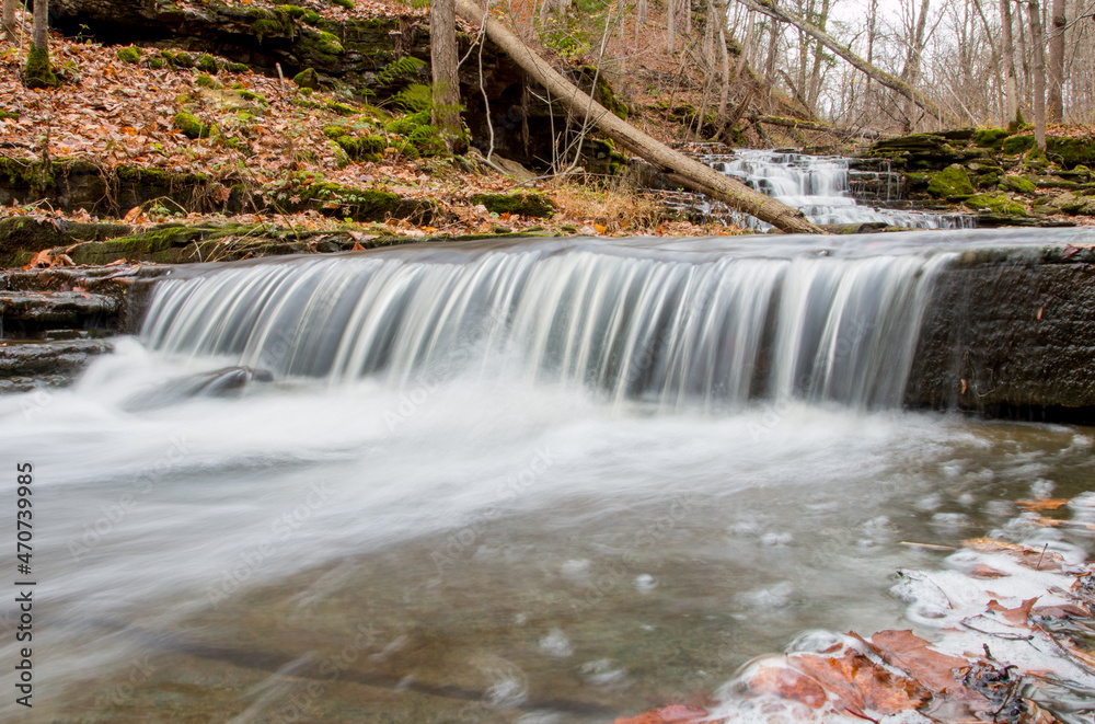 Obraz premium waterfall in the forest