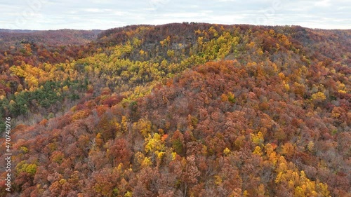 fall colors around central kentucky photo