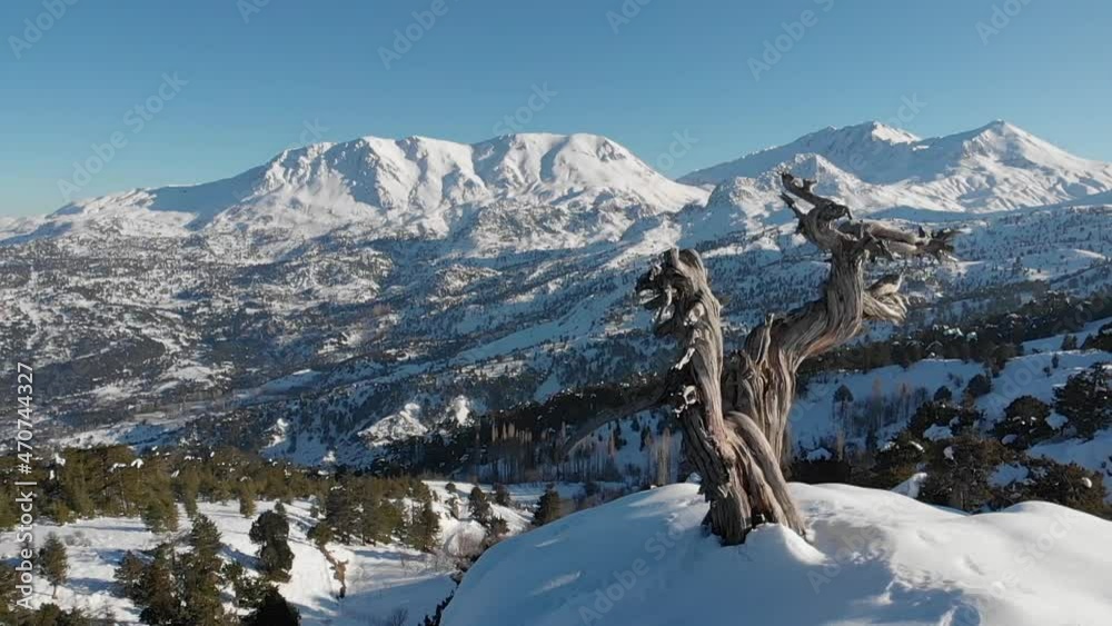 Snow scenes taken by drone