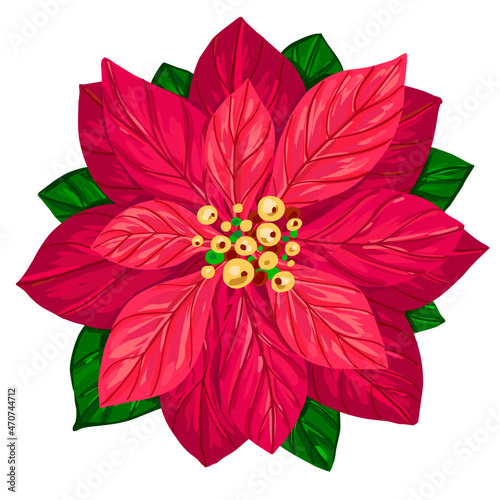 Poinsettia winter flower. Vector illustration Poinsettia flower on white background. Poinsettia flowers isolated icon for Christmas or New Year greeting card design. Realistic poinsettia plant 