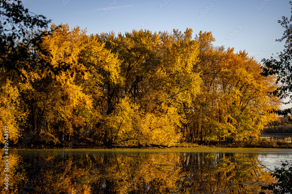 Obraz premium Fall afternoon at a national park. Reflection of Beauty.