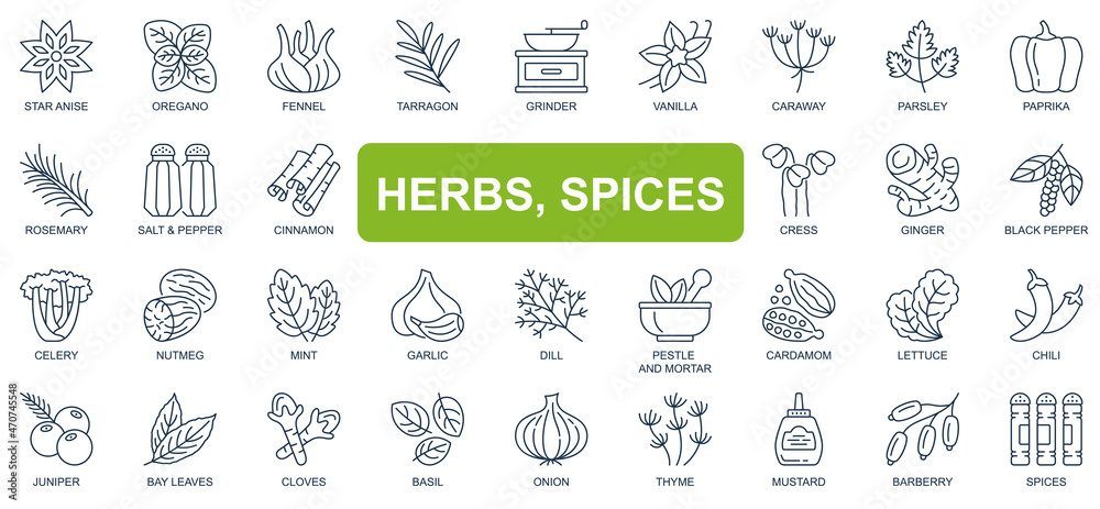 Herbs, spices concept simple line icons set. Bundle of star anise, oregano, vanilla, paprika, rosemary, salt, pepper, cinnamon and other. Vector pack outline symbols for website or mobile app design