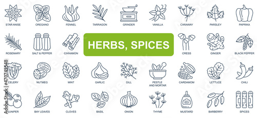 Herbs, spices concept simple line icons set. Bundle of star anise, oregano, vanilla, paprika, rosemary, salt, pepper, cinnamon and other. Vector pack outline symbols for website or mobile app design
