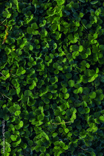 Wallpaper Mural Autumn Torontodigital.ca