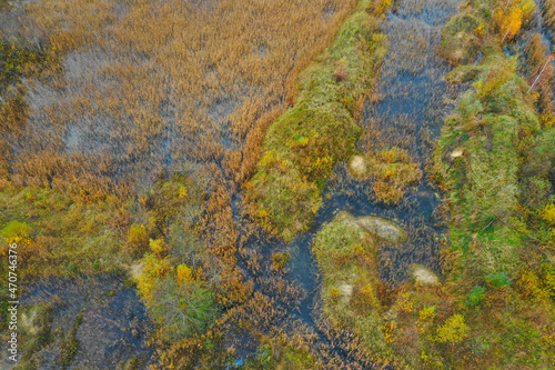 Swamp in autumn. Aero Photo