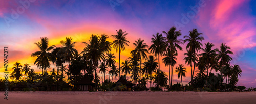 Silhouette palm at sunset © Sergii Figurnyi