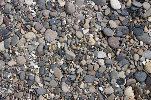 Image of the ground pebbles and remains of marine mollusks
