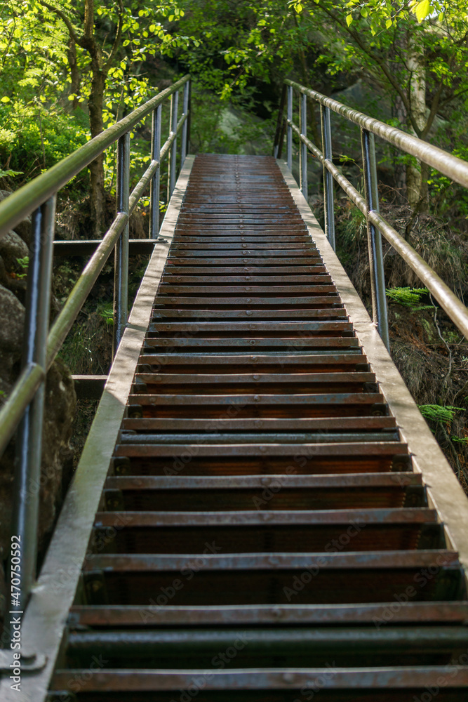 Steel stairway leading up in green summer forest Steel stairway leading up in green summer forest