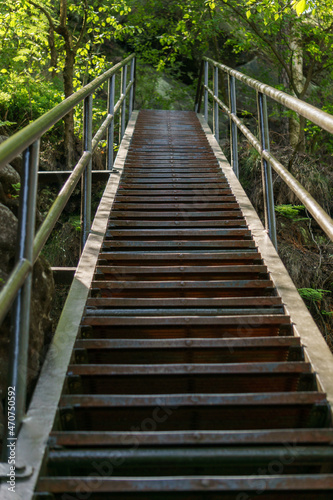 Fototapeta Naklejka Na Ścianę i Meble -  Steel stairway leading up in green summer forest