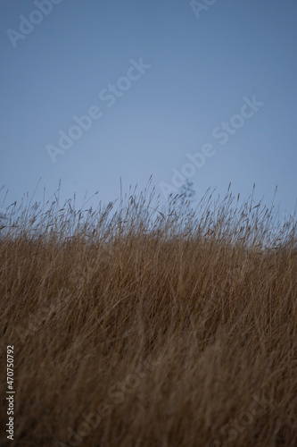 Autumn landscape 