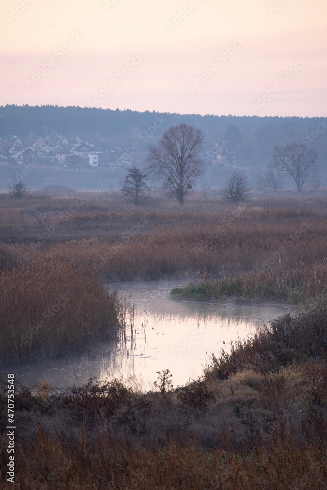 misty morning on the river