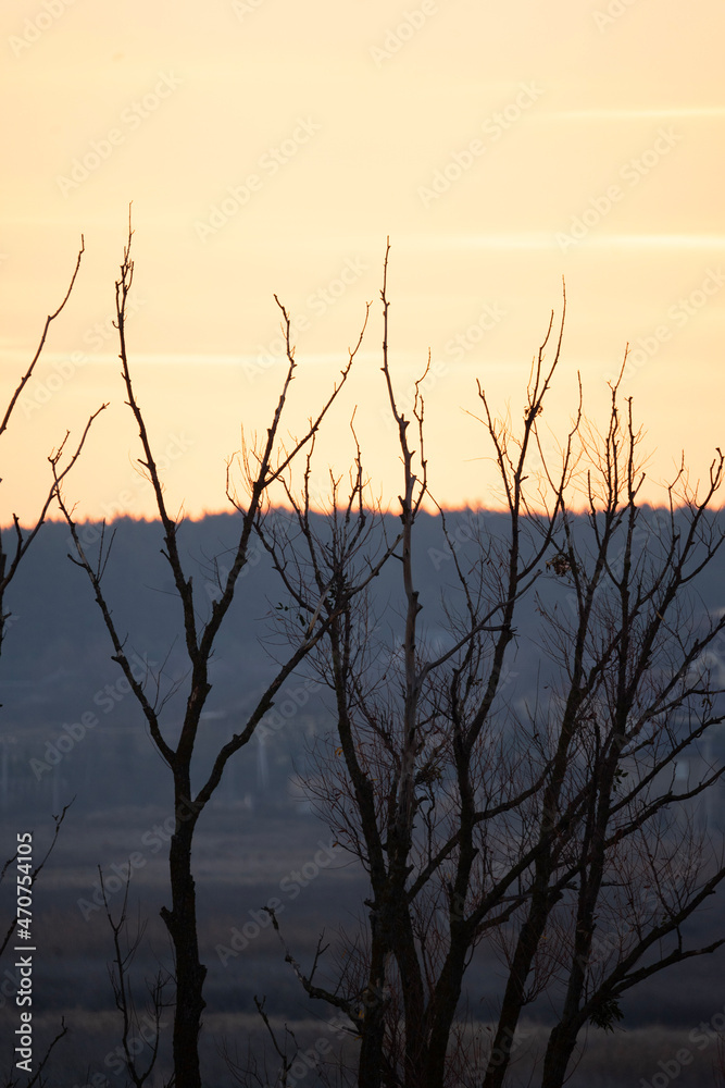 Fototapeta premium sunset on the lake
