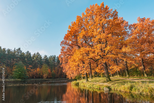 View of the city park by the lake at autumn morning.