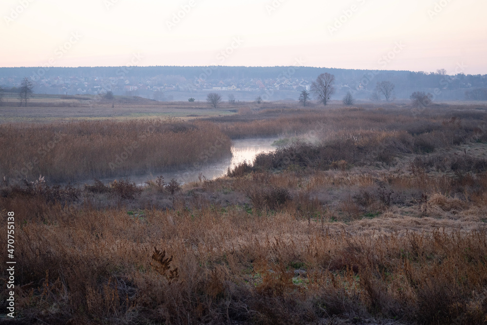 mist over swamp