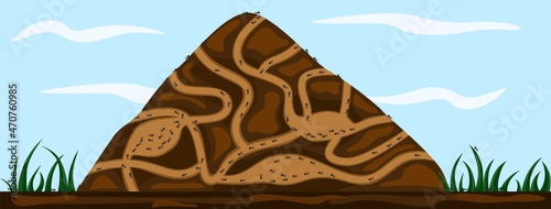 Ant family moving in tunnels anthill. Home of insects which life into hill. Vector cartoon close-up illustration. photo