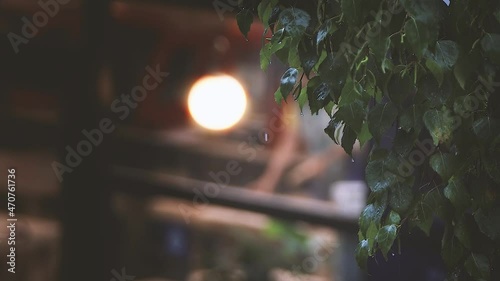 Rain and raindrops crashing against the window through the leaves and showers on a summer night
