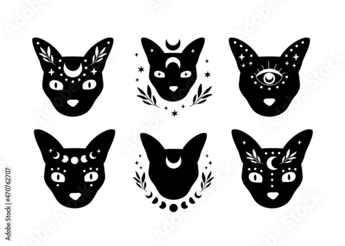 Celestial animal vector illustration set. Mystical black cat head. Esoteric concept with crescent moon phase. Boho modern poster, witchy card, magical t-shirt print, sticker. Witchcraft symbol.