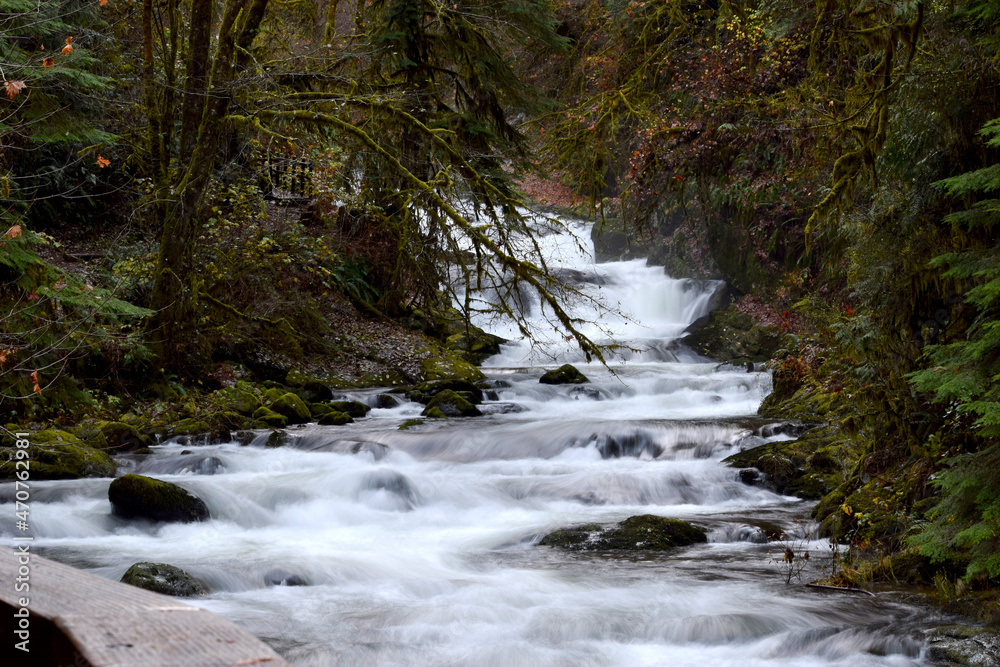 Fototapeta premium Sweet Creek Falls 08