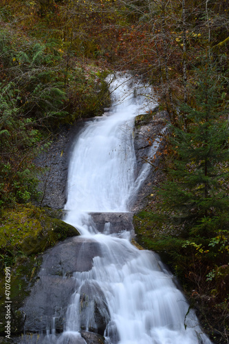 Sweet Creek Falls 10