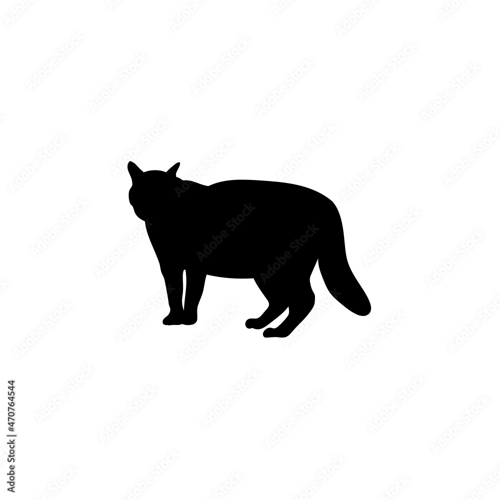 Cat Cat