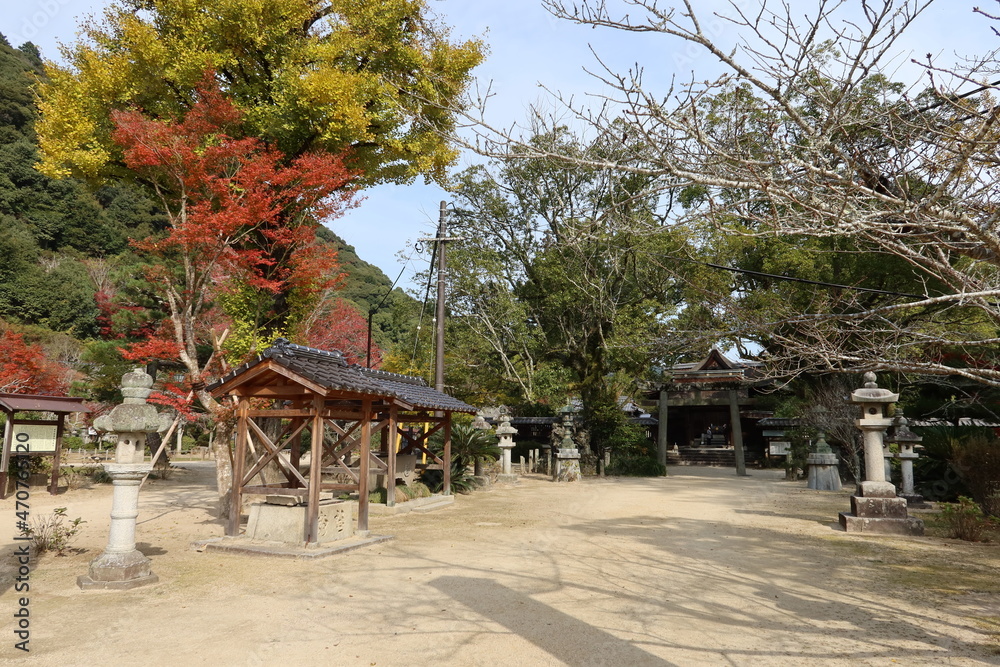 A view of the precincts of Kikkou-jinjya Shrine in Iwakuni City in Yamaguchi Prefecture in Japan　日本の山口県岩国市にある吉香神社の境内の一風景　