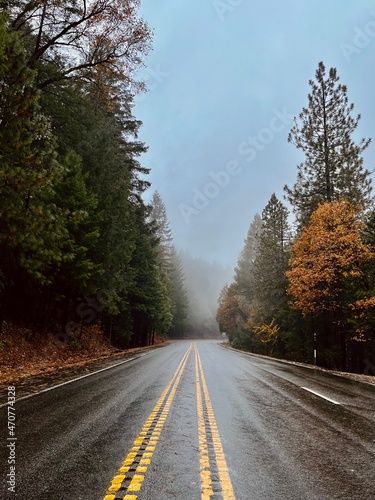 Autumn road in fog 