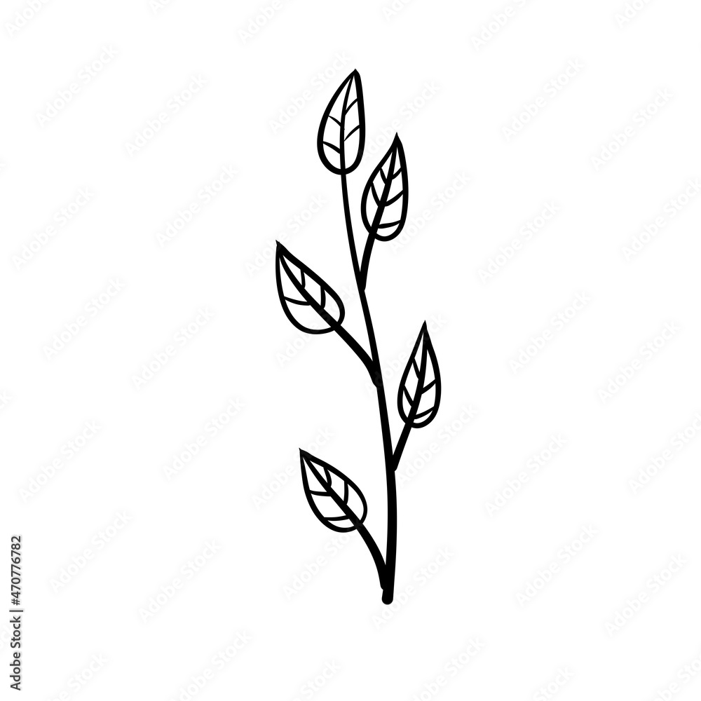 Obraz premium Branch of plant. Leaves in line style. Black and white natural illustration. Minimalism and simple flora.