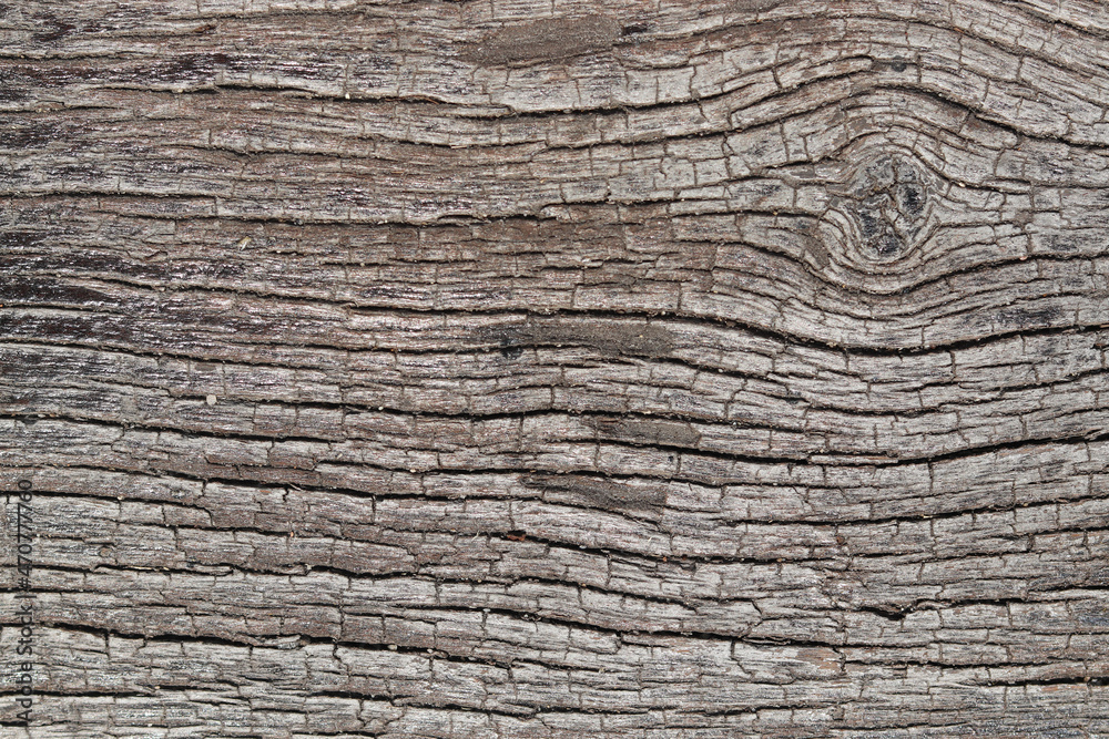 Surface wood texture background with natural pattern. Wooden floor in vintage style. Surface wood texture background with natural pattern. Wooden floor in vintage style.
