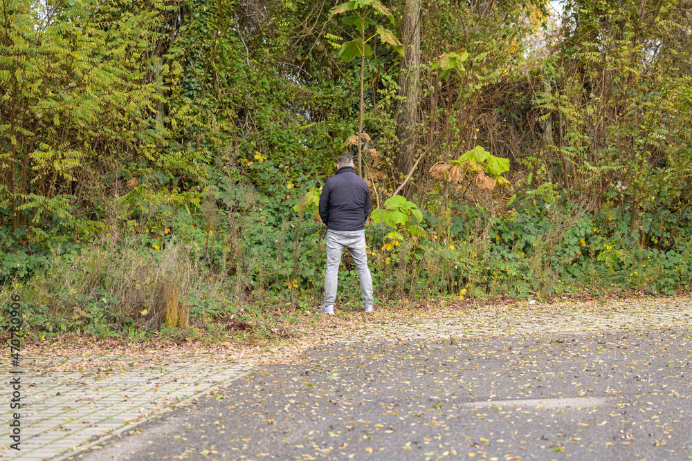Rear view of a man urinating outdoors in a park Rear view of a man urinating outdoors in a park