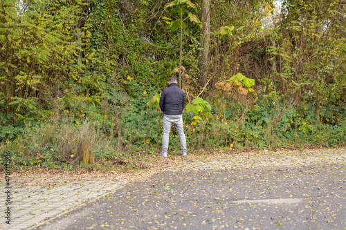 Fotografie, Obraz Rear view of a man urinating outdoors in a park