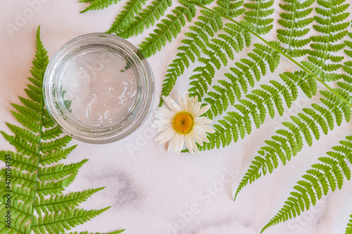 Top view of natural face and body mousturizing gel in glass jar with fern leaves and chamommile flowers. Plant based natural organic cosmetics product for skin. photo