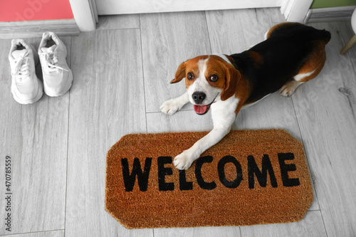 Cute Beagle dog lying near door mat on floor photo