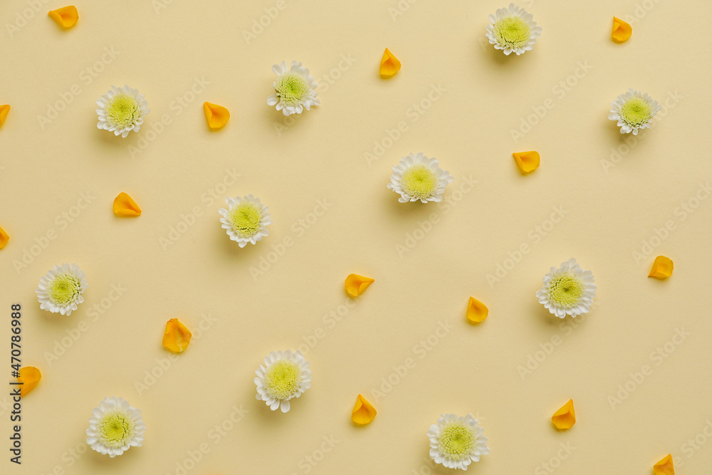 Flowers and petals on color background, closeup - obrazy, fototapety, plakaty 