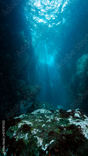   Save Download Preview Artistic and beautiful underwater photo of rays of sunlight over the reef. From a scuba dive.