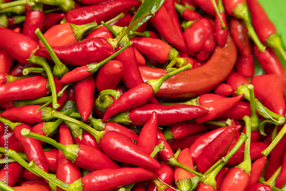 Red chili peppers as background.