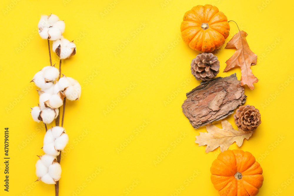 Autumn composition with cotton flowers and pumpkins on yellow background