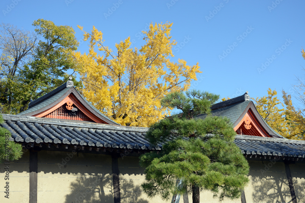 秋の東寺　八幡社殿　京都市南区