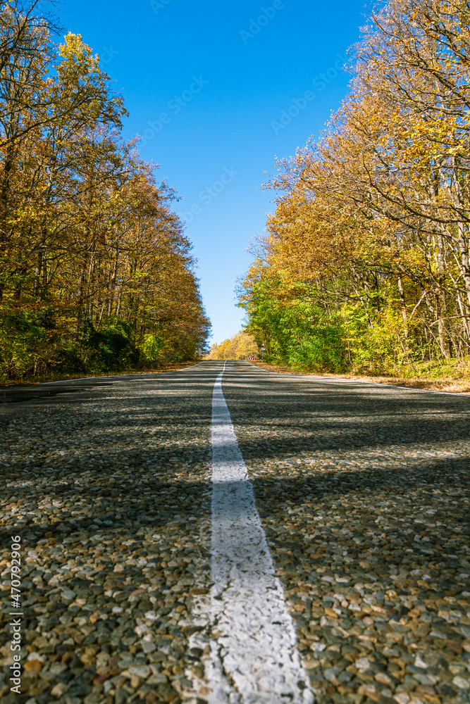 Obraz premium A white solid line of markings on a country road going into the distance. At the edges of the road are yellow-green trees. In the background is a blue sky. The concept of autumn travel.